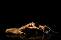 BeautifulChaos (6 of 8)