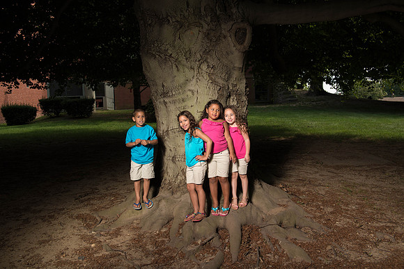 TreeCousins-9